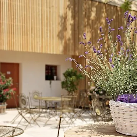 Cafe Fara Guest house Klentnice